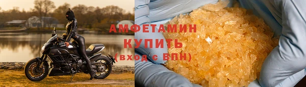 индика Нижний Тагил