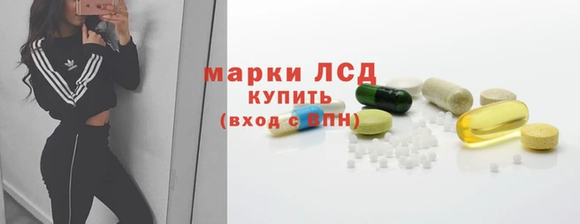 СК Краснослободск