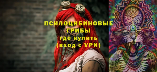 СК Краснослободск