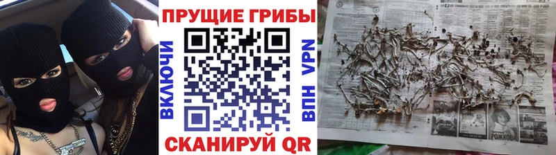 Псилоцибиновые грибы MAGIC MUSHROOMS  магазин  наркотиков  Сызрань 