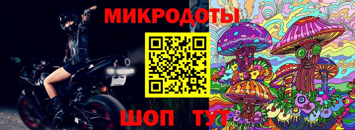 Галлюциногенные грибы Psilocybine cubensis Сызрань