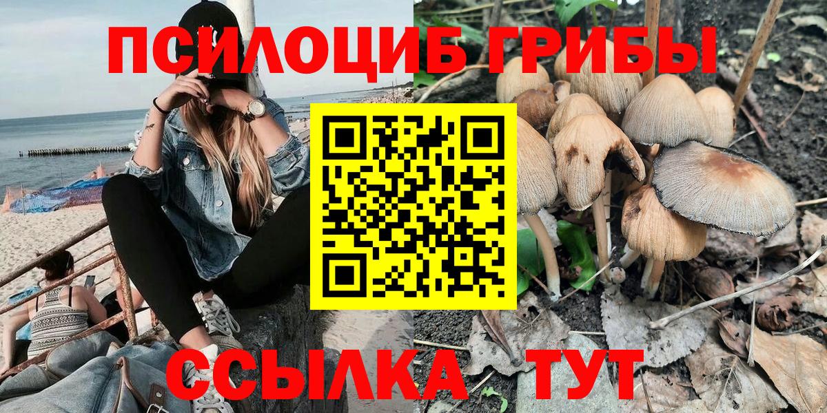 Сызрань  Псилоцибиновые грибы MAGIC MUSHROOMS  Вход с VPN 